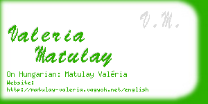 valeria matulay business card
