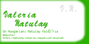 valeria matulay business card